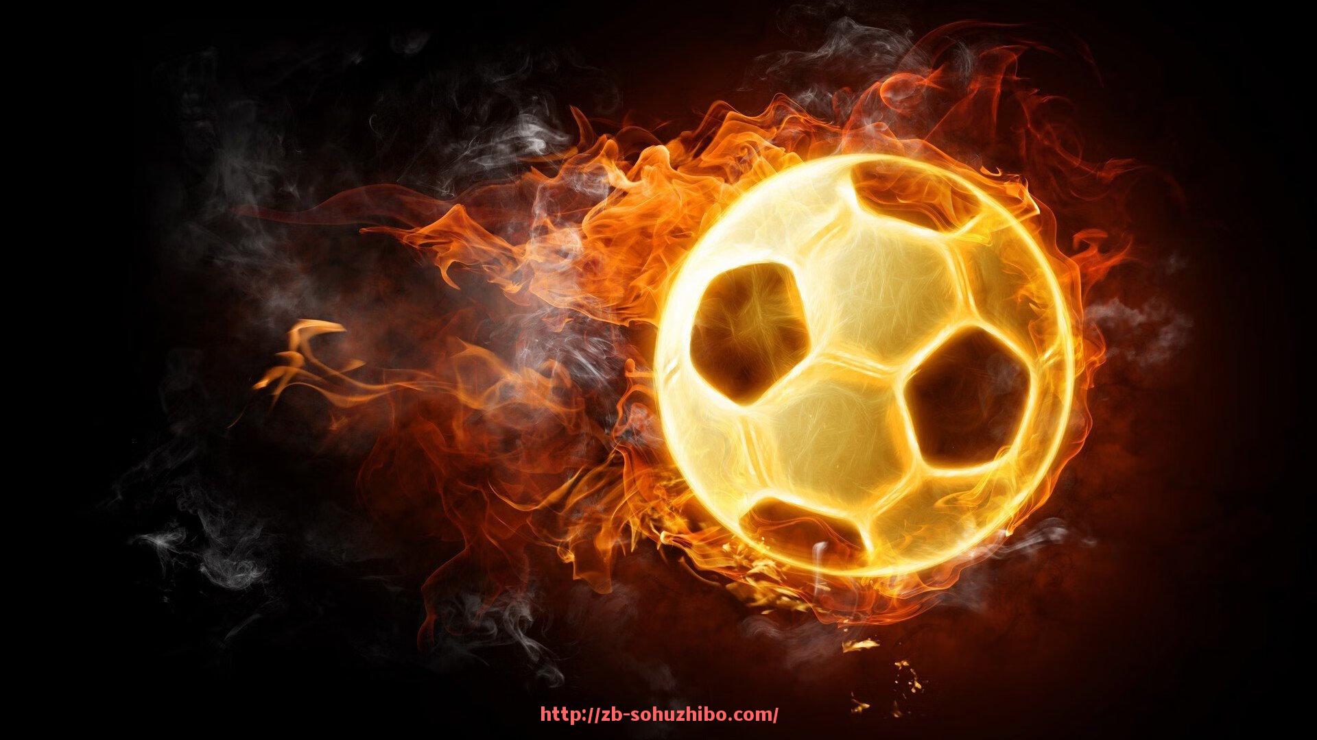 搜狐体育直播-多功能健身器材厂家推荐及选购注意事项