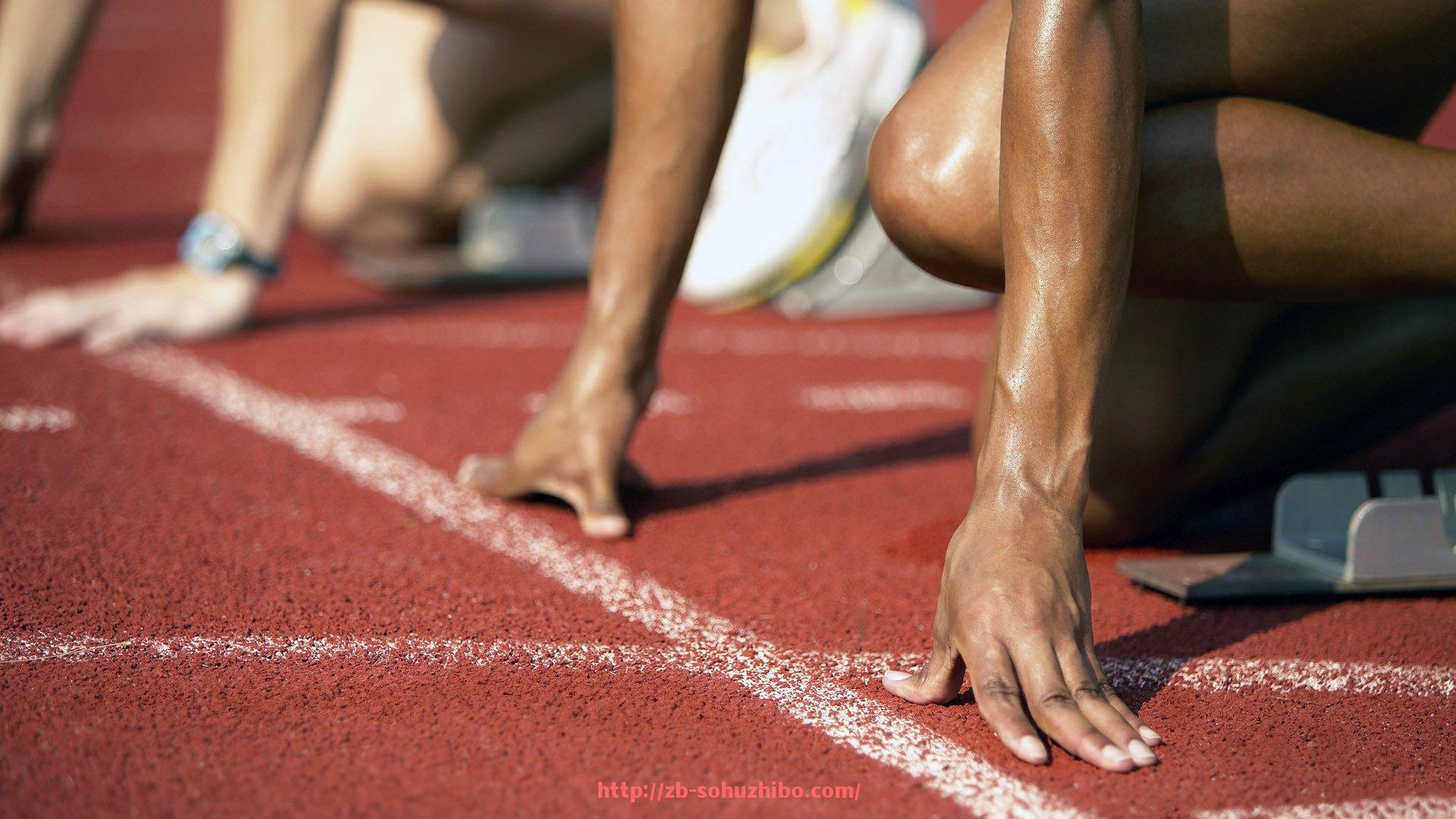 搜狐体育直播-欧冠历届比赛回放资源整合与观赛推荐