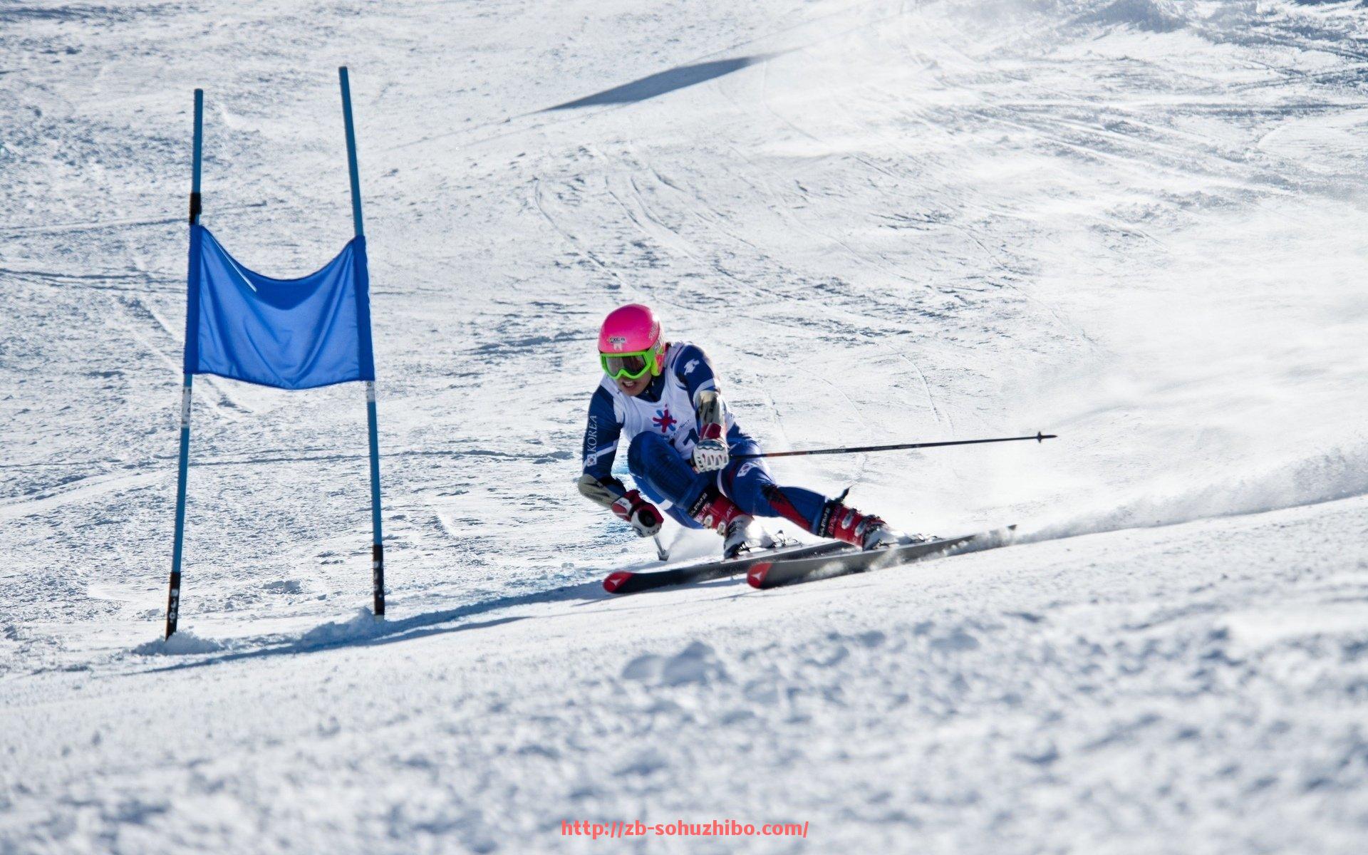 搜狐体育直播-世界杯平台推送机制调整方案及内容分发效率优化路径